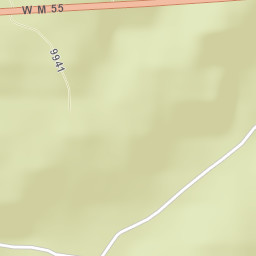 Highway 55, Manistee National Forest, Cadillac Street Map