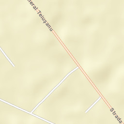 Oraş Drãgãneşti-Olt Street Map