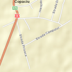 Copaciu Street Map