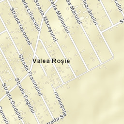 Valea Roșie Street Map