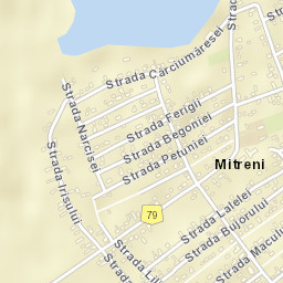 Mitreni Street Map