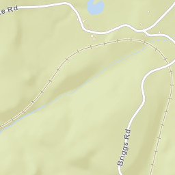 Briggs New York Street Map