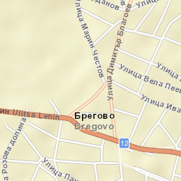 Bregovo Street Map