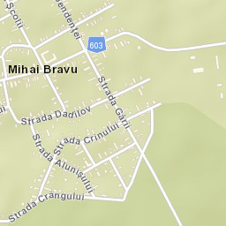 Mihai Bravu Street Map