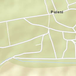 Puieni Street Map