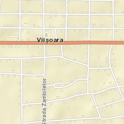 Viișoara Street Map