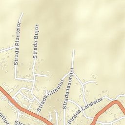 Băneasa Street Map