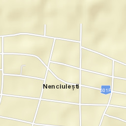 Nenciulești Street Map