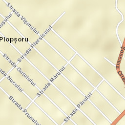 Plopșoru Street Map