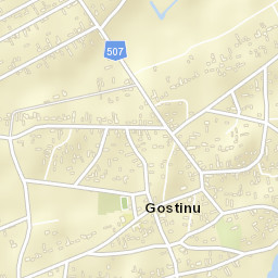 Gostinu Street Map