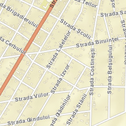 Tuzla Street Map