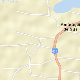 Amărăştii de Sus Street Map