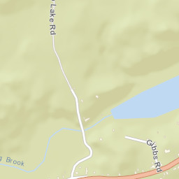 Newcomb New York Street Map