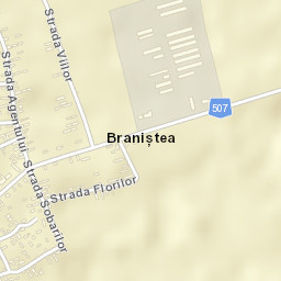 Braniștea Street Map