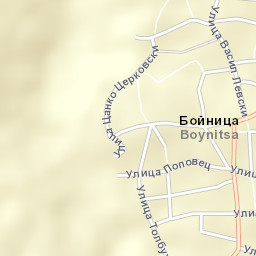 Boynitsa Street Map