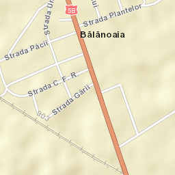 Cetatea Street Map