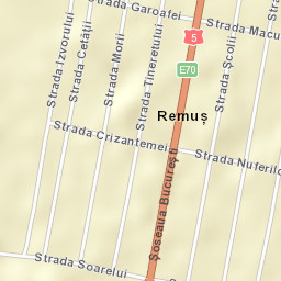 Remuș Street Map