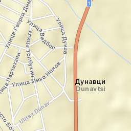 Dunavtsi Street Map