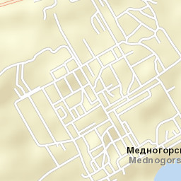Mednogorskiy Street Map