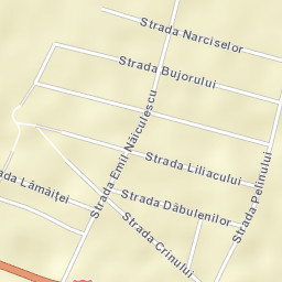 Ghidici Street Map