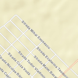 Vișina Nouă Street Map