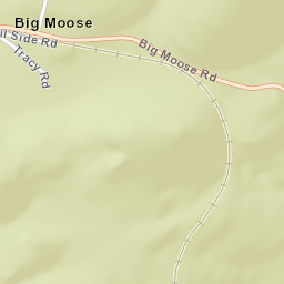 Big Moose New York Street Map