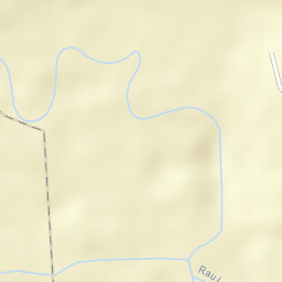 Viişoara Street Map