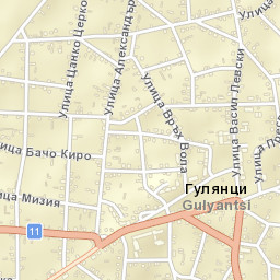 Gulyantsi Street Map