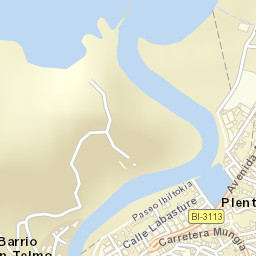 Plentzia Street Map