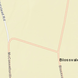 Blossvale New York Street Map
