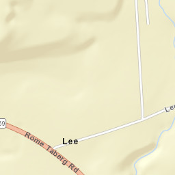 Lee New York Street Map