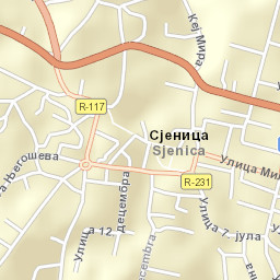 Sjenica Street Map