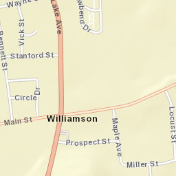 Williamson New York Street Map