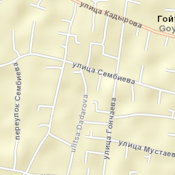 Goyty Street Map