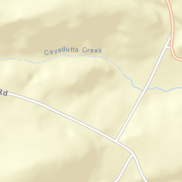 West Bush New York Street Map