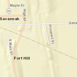 Savannah New York Street Map