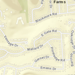 Parson Farms New York Street Map