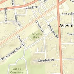 Auburn New York Street Map
