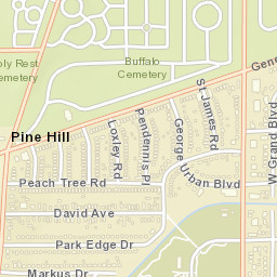 Pine Hill New York Street Map