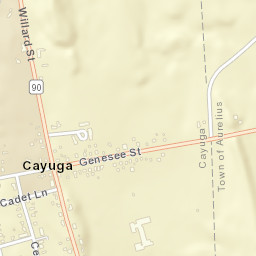 Cayuga New York Street Map