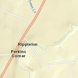 Rippleton New York Street Map