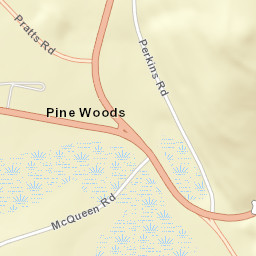 Pine Woods New York Street Map
