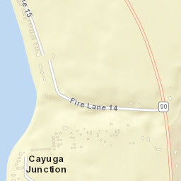 Cayuga Junction New York Street Map
