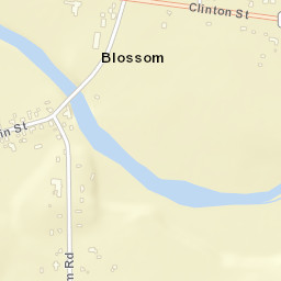 Blossom New York Street Map