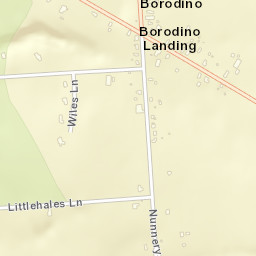 Borodino New York Street Map