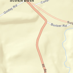 Scotch Bush New York Street Map