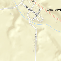 Cowlesville New York Street Map