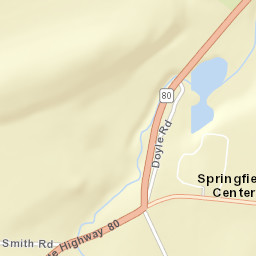Springfield Center New York Street Map