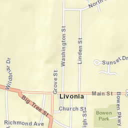 Livonia New York Street Map