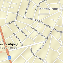 Kostinbrod Street Map